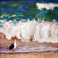 Gull and Surf